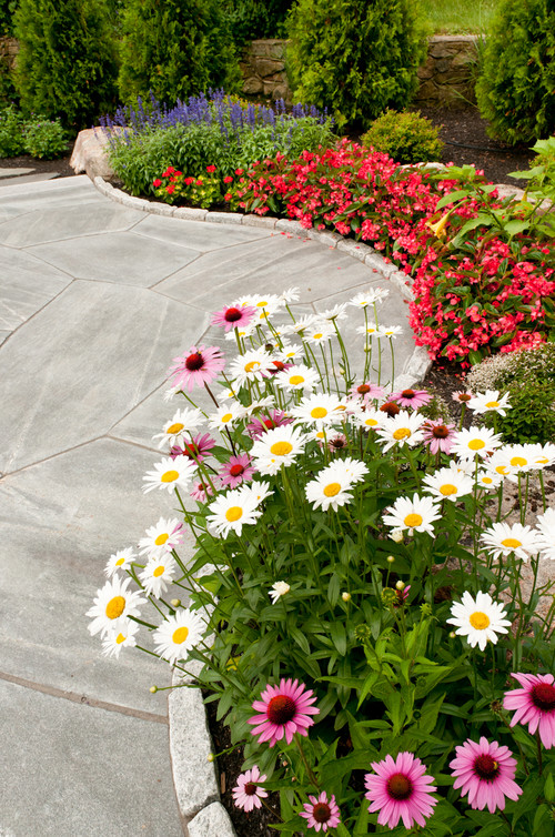 Park Avenue Landscapes